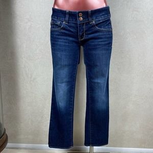 American Eagle Artist Stretch Cropped Jeans